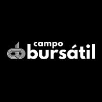 Analista de inversiones